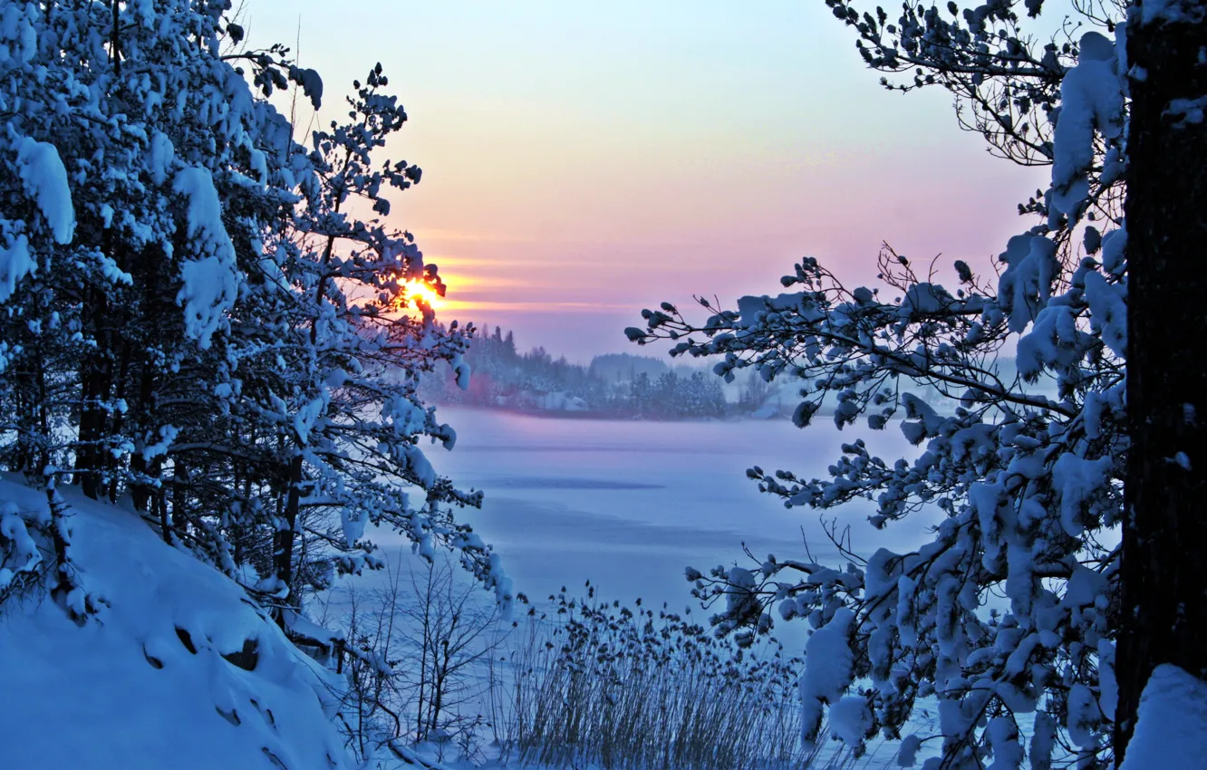 Photo wallpaper winter, snow, nature, morning