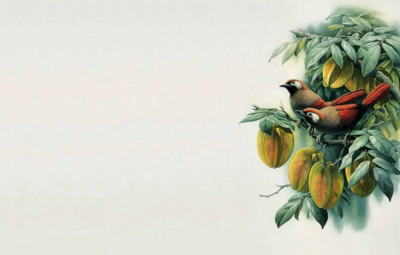 Photo wallpaper bird, minimalism, branch, East, master, art, painting