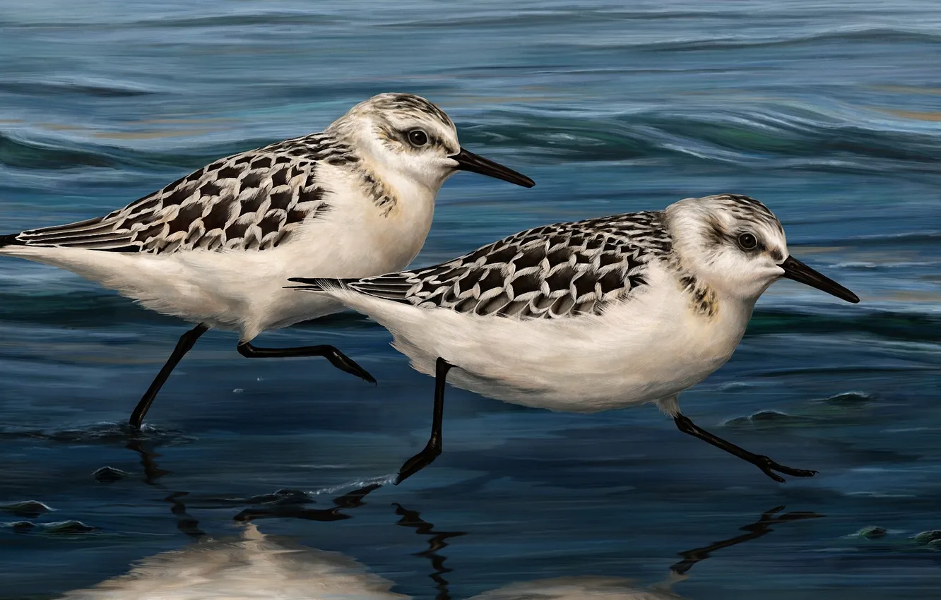 Photo wallpaper water, birds, art, painting