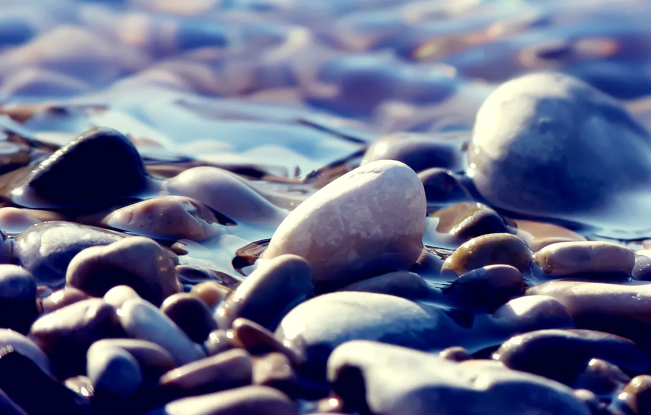 Photo wallpaper water, pebbles, stones, wet