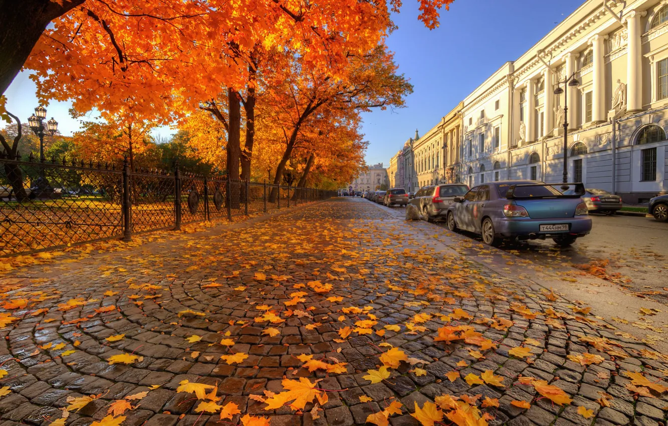 Photo wallpaper auto, autumn, street, Saint Petersburg, Ed Gordeev, Gordeev Edward