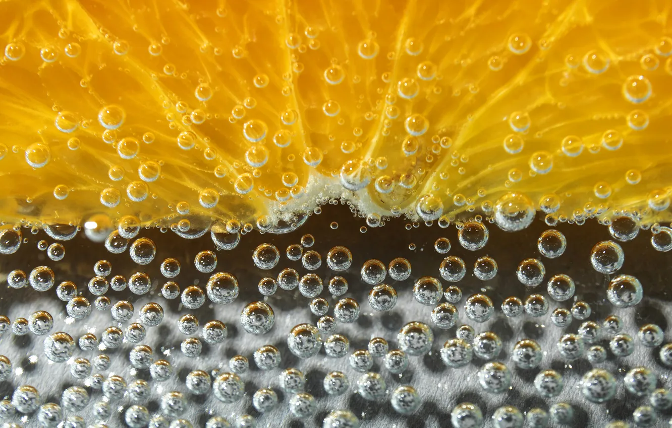 Photo wallpaper water, macro, bubbles, orange, fruit, slices, composition, sparkling water