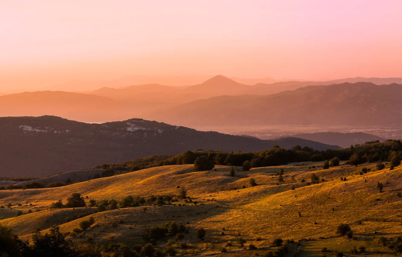 Photo wallpaper forest, light, trees, mountains, fog, dawn, hills, morning