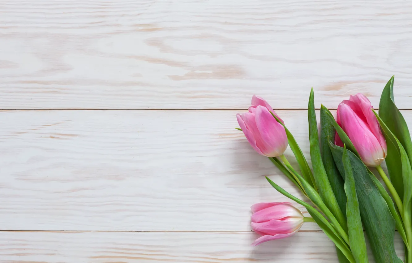 Photo wallpaper flowers, bouquet, tulips, pink, pink, flowers, beautiful, romantic