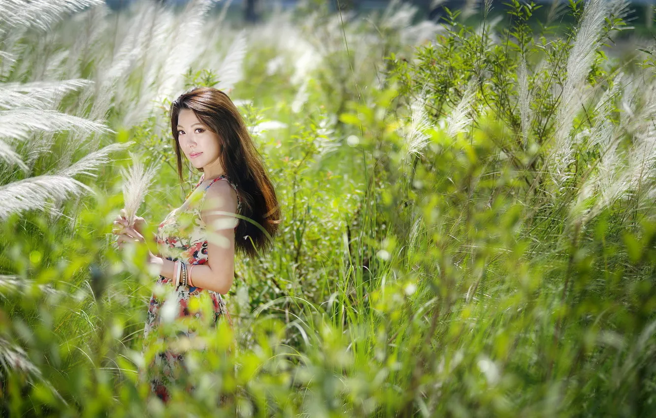 Photo wallpaper girl, background, Asian