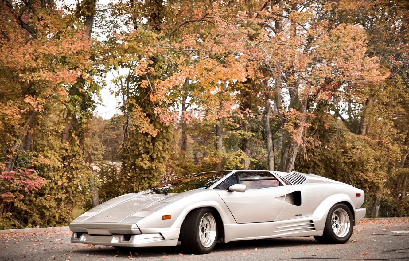 Photo wallpaper Lamborghini, supercar, Lambo, Countach, Lamborghini, Lamborghini Countach