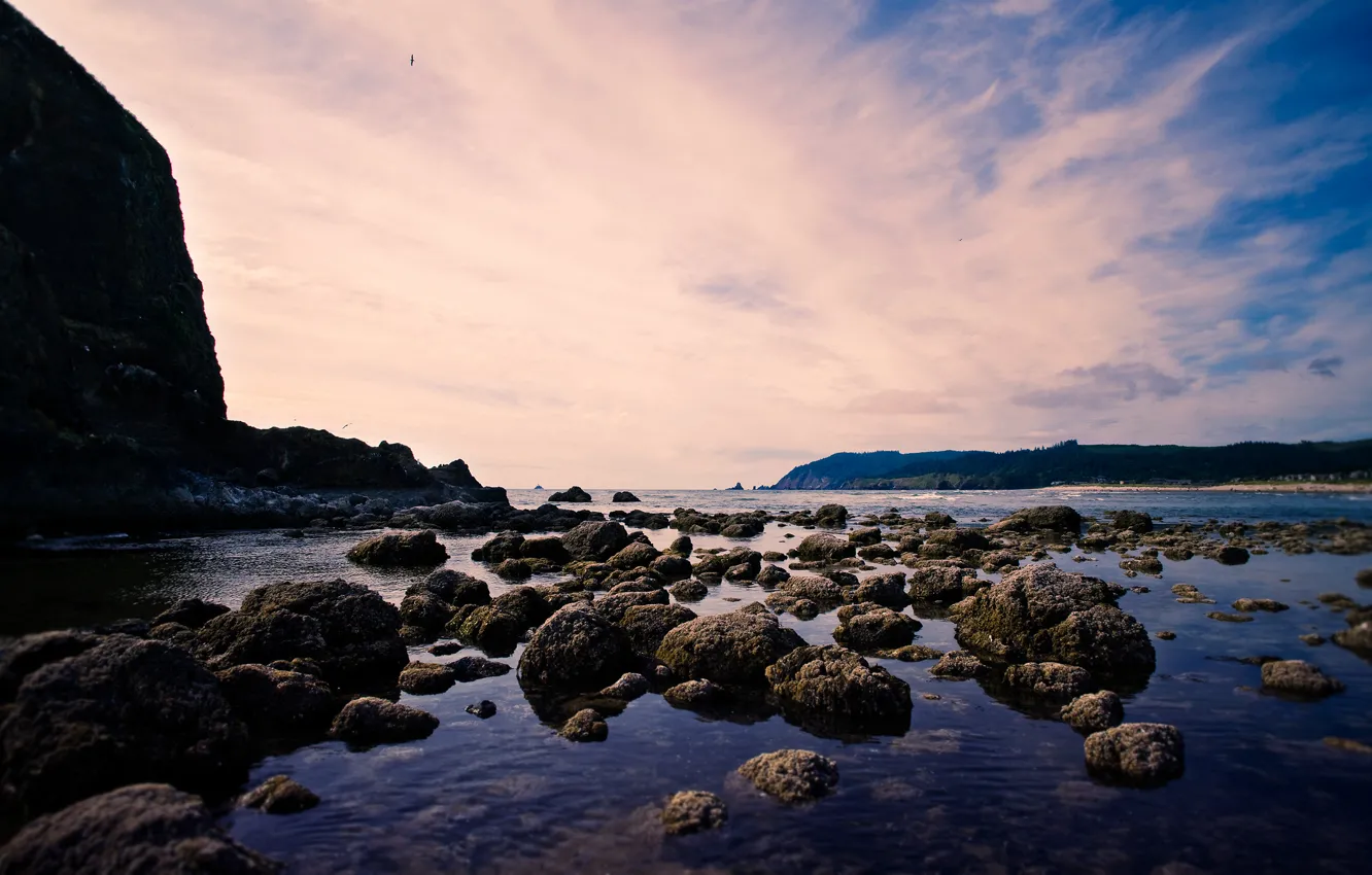 Photo wallpaper sea, clouds, landscape, stones, rocks, shore, a bird in the sky