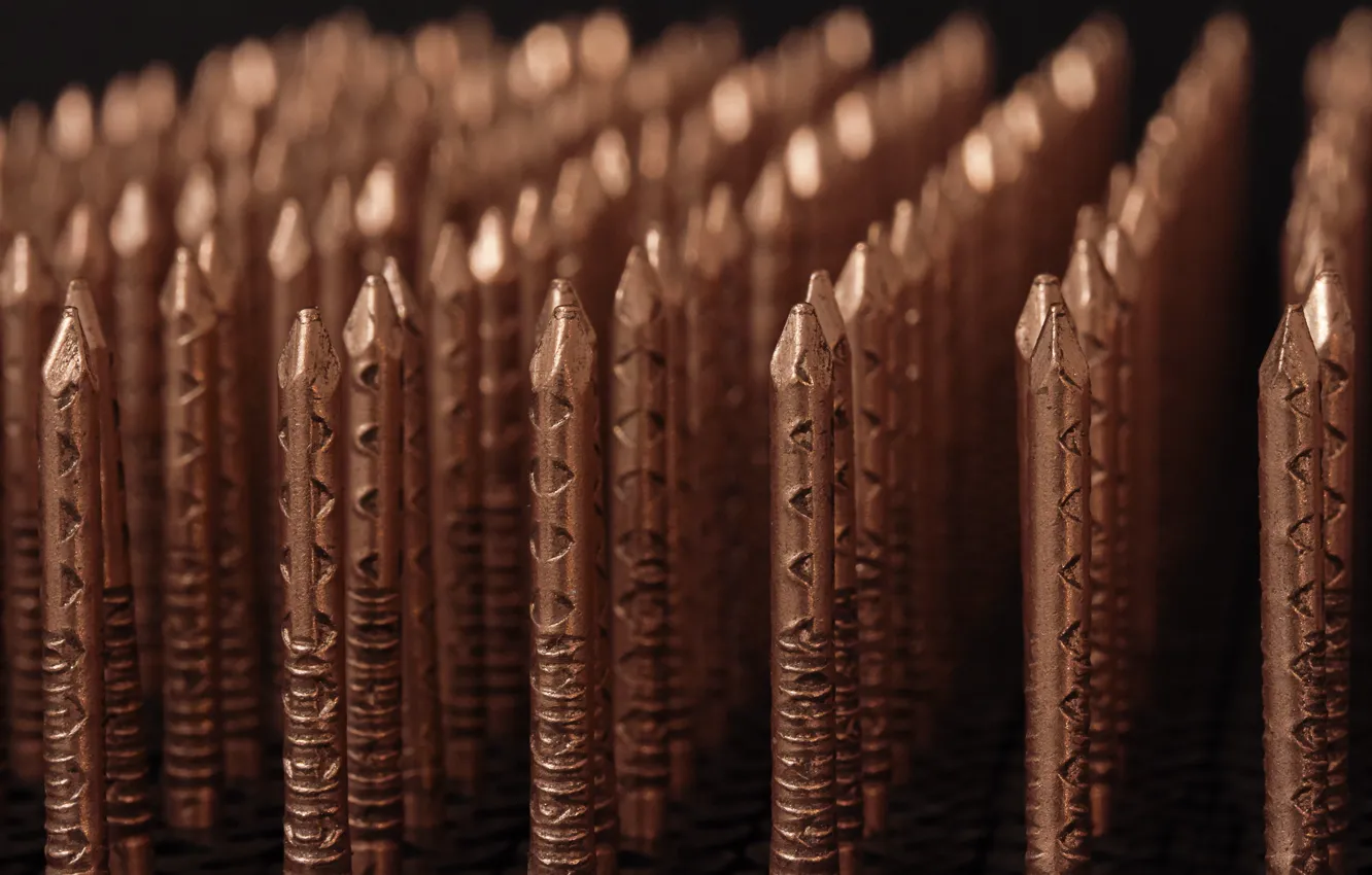 Photo wallpaper macro, background, nails