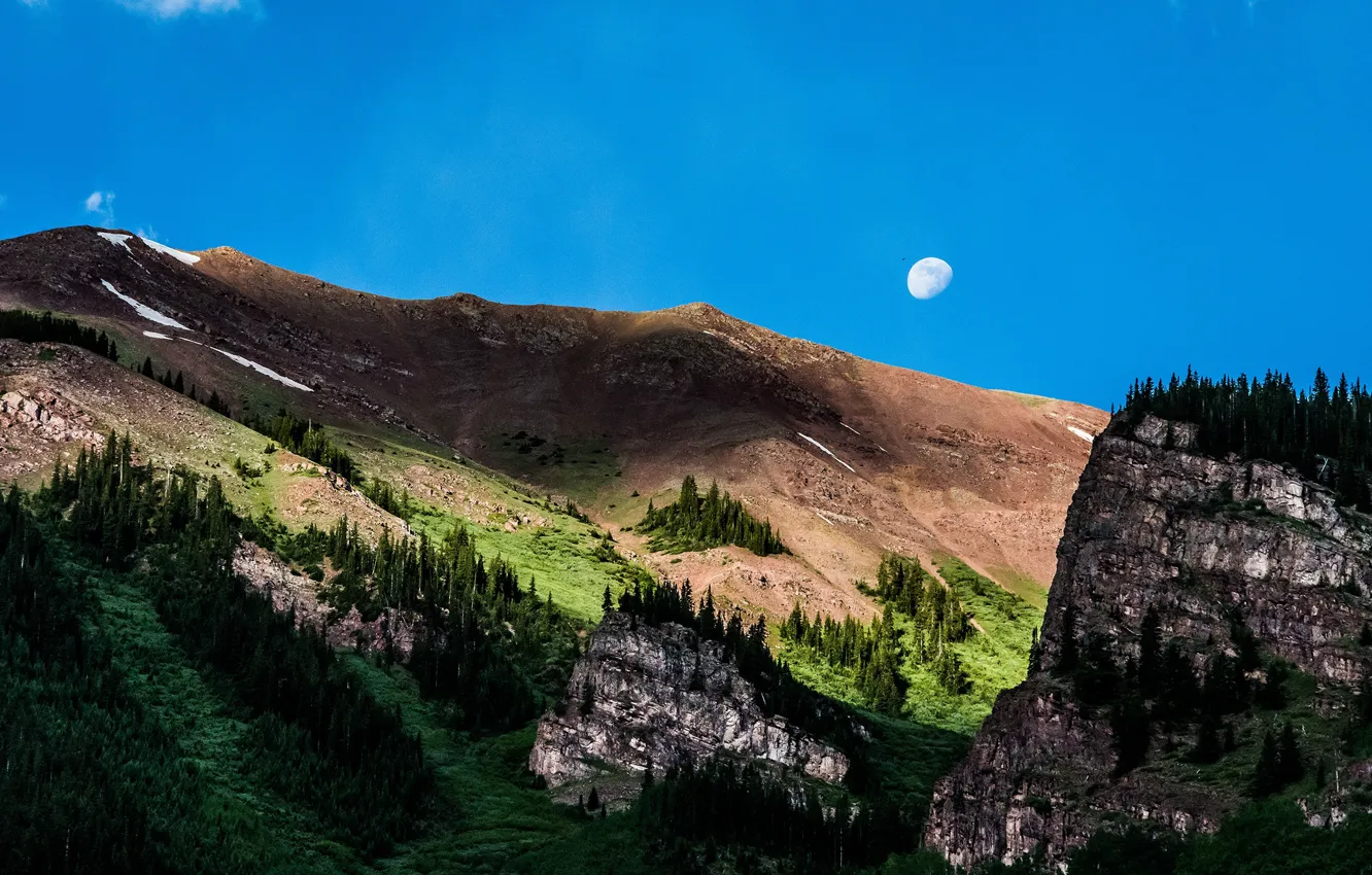 Photo wallpaper forest, mountains, blue, rocks, hills, the moon