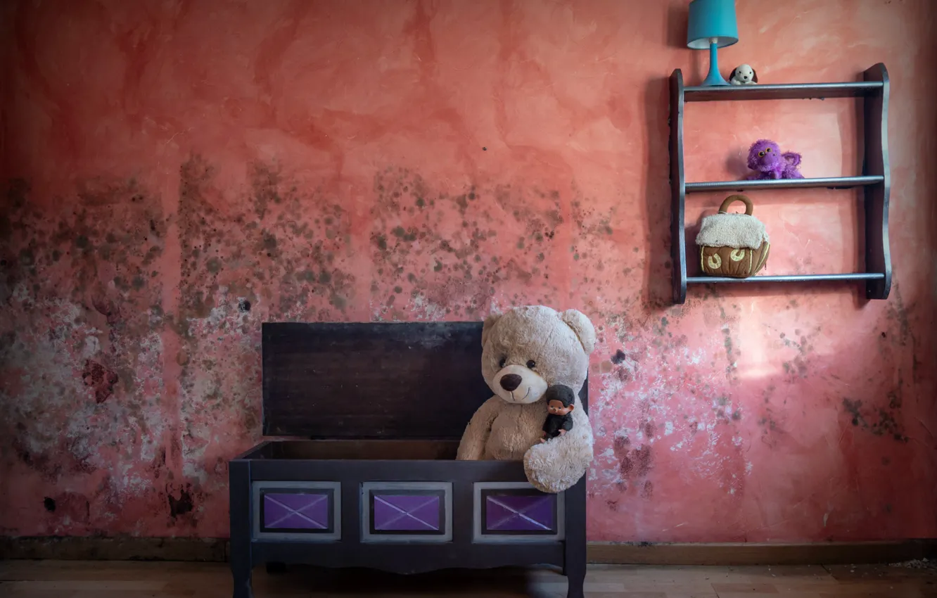 Photo wallpaper toy, bear, box