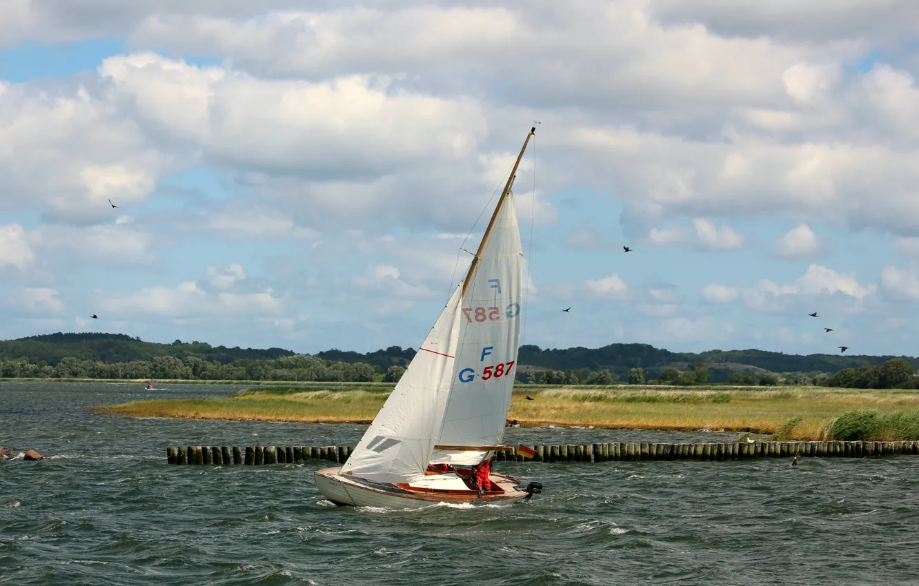 Photo wallpaper sea, wave, the wind, shore, sailboat, the breakwater