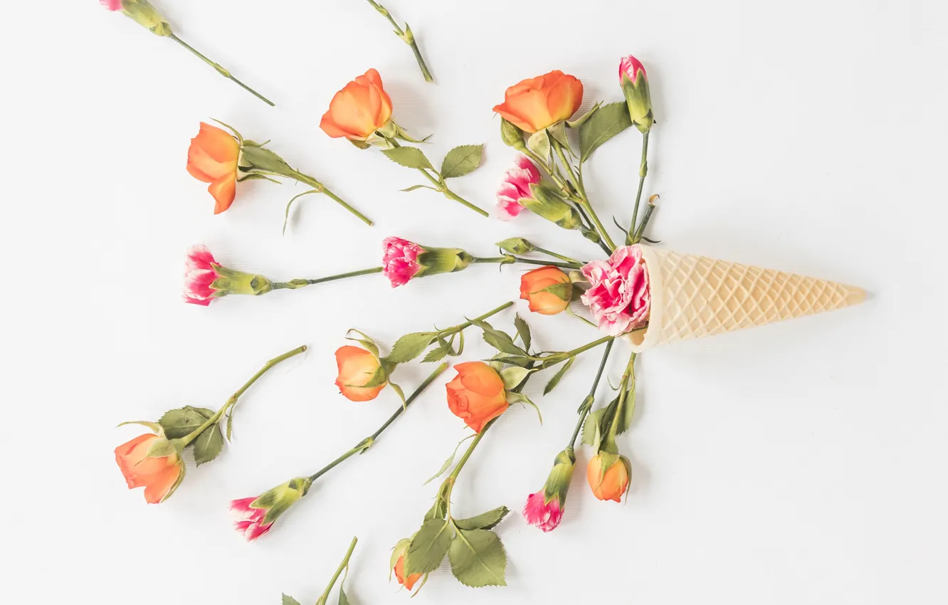 Photo wallpaper white, background, roses, flower, roses, clove, waffle cone