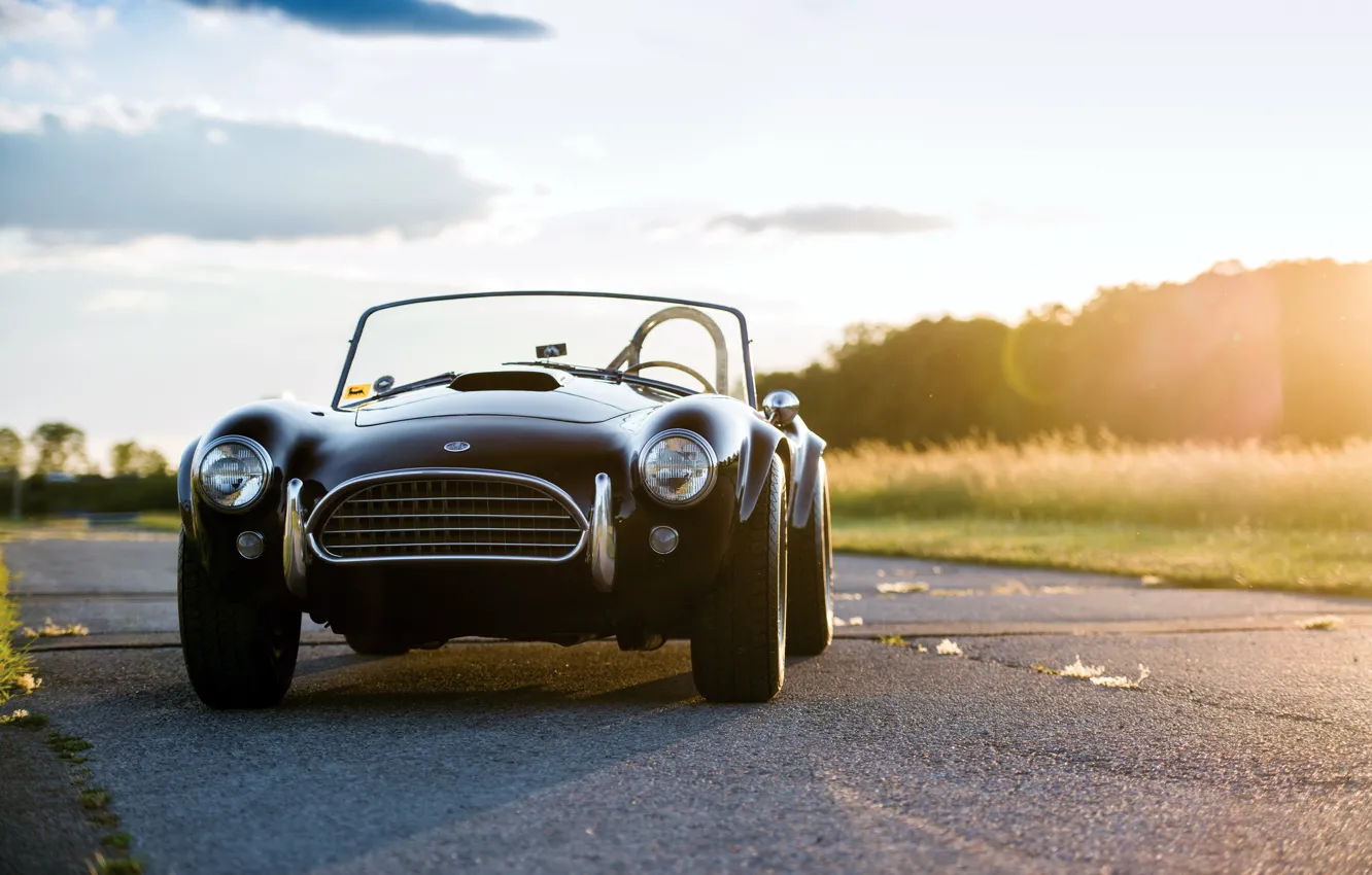 Photo wallpaper Shelby, Cobra, sports car, iconic, Shelby Cobra 289