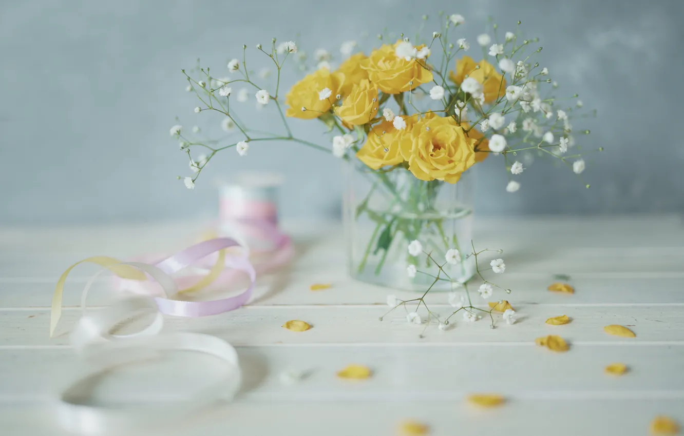 Photo wallpaper tape, yellow, sprig, flowers, Bank, blur, composition, blue background