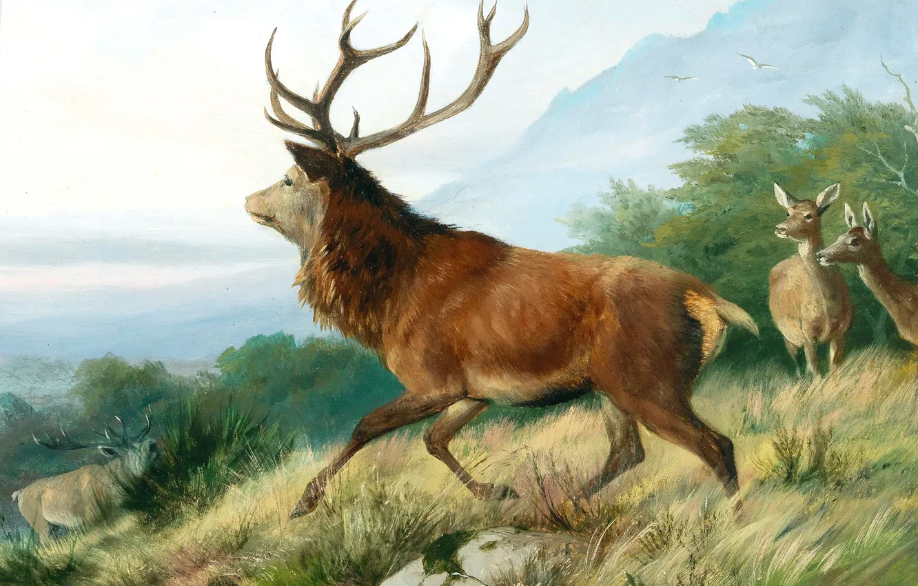 Photo wallpaper trees, horns, male, Carl Friedrich Deiker, Karl Friedrich Daker, German animal painter, deer, Picture