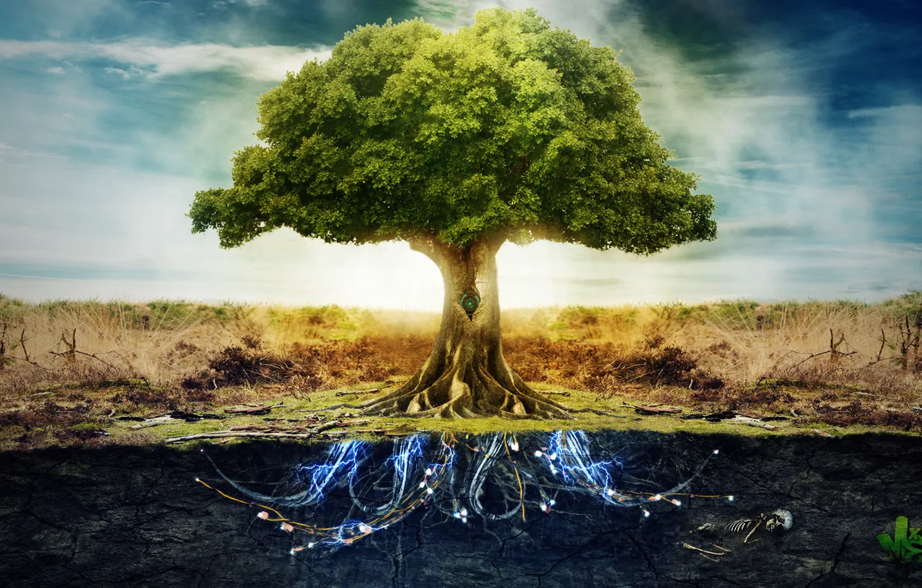 Photo wallpaper the sky, trees, roots, earth, electricity