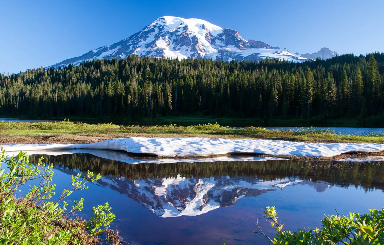 Photo wallpaper lake, reflection, USA, Washington, mount Rainier