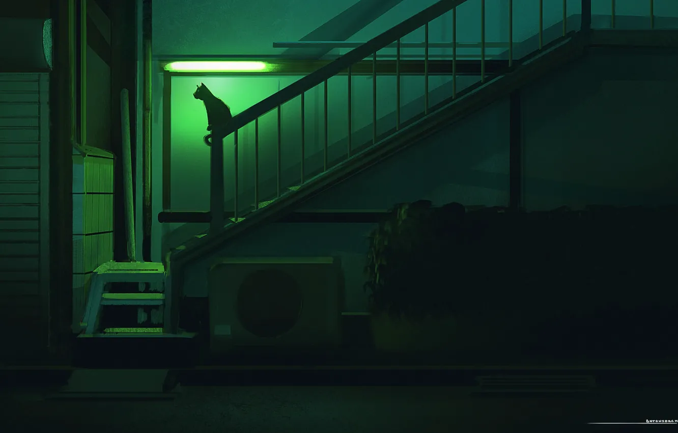 Photo wallpaper cat, night, silhouette, art, Illustration, Concept Art, Environments, by Jorge Gonzalez