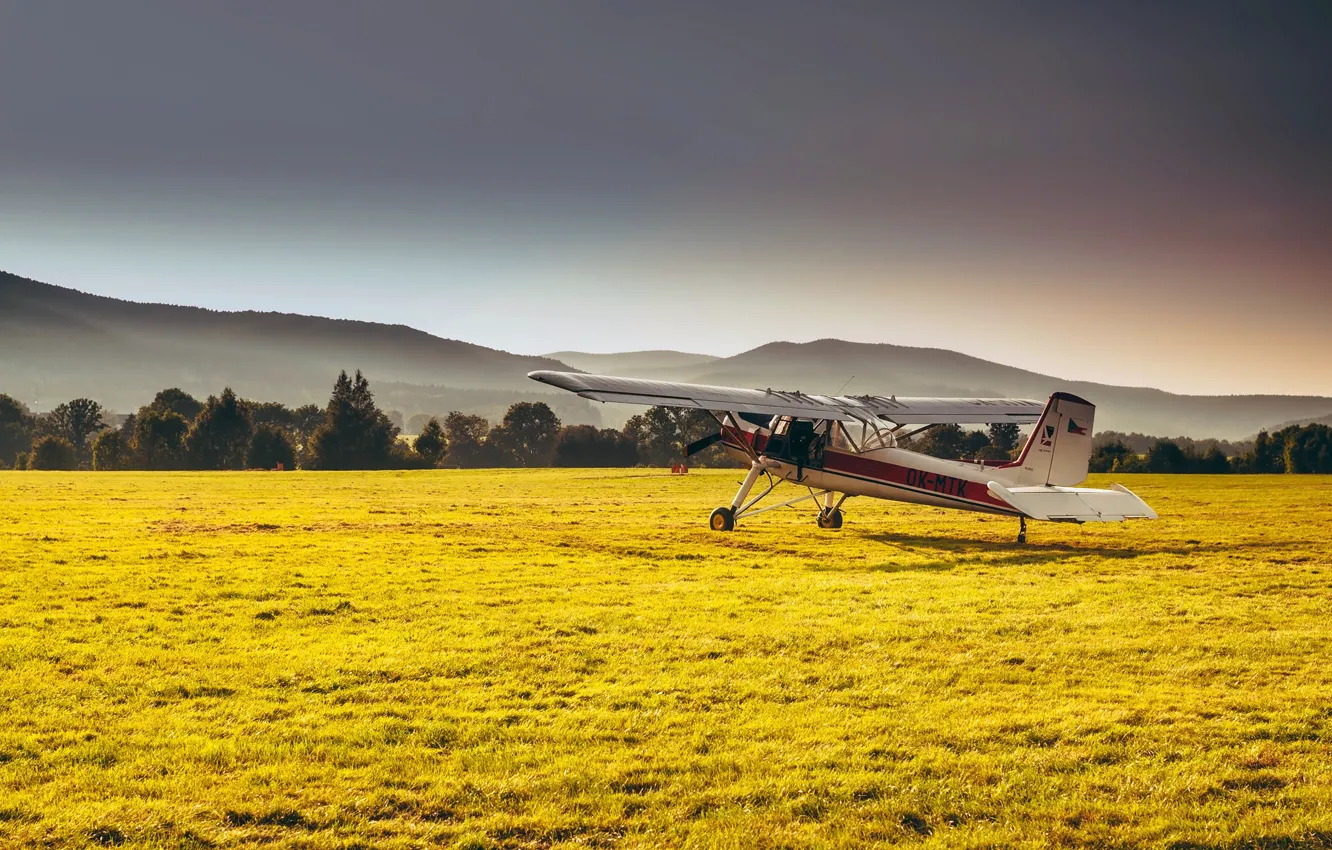 Photo wallpaper field, forest, grass, mountains, haze, the plane, Sunny