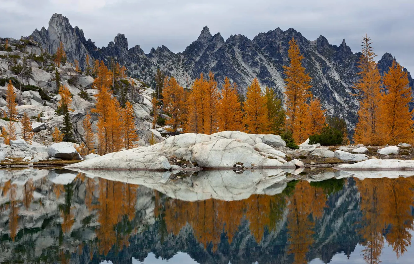 Photo wallpaper trees, landscape, lake, rocks, USA, Washington