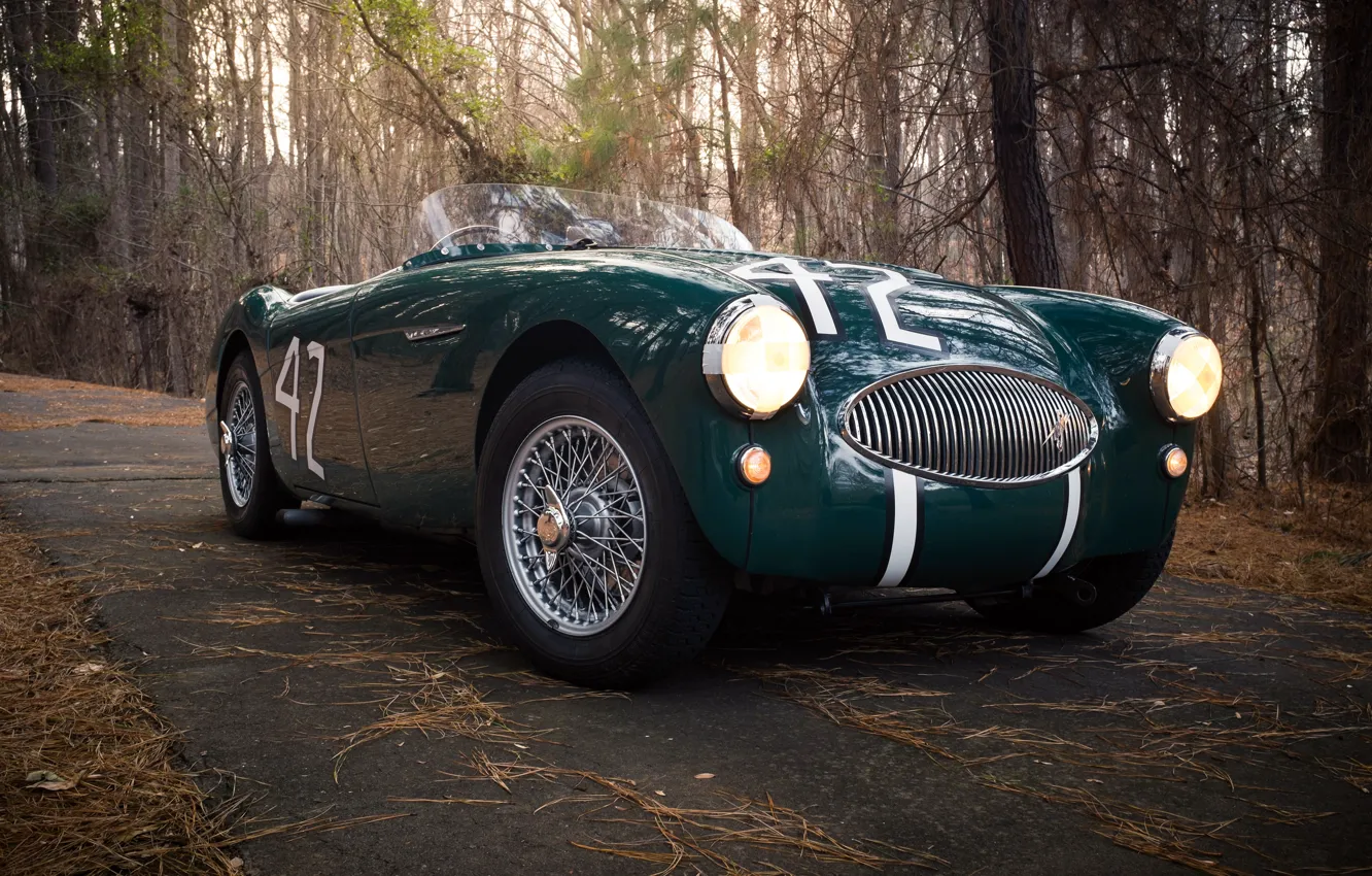 Photo wallpaper 1955, Austin Healey, Austin Healey, 100S