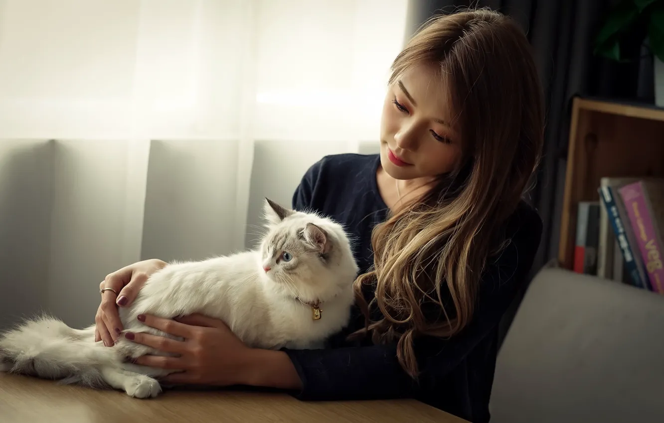 Photo wallpaper cat, girl, comfort