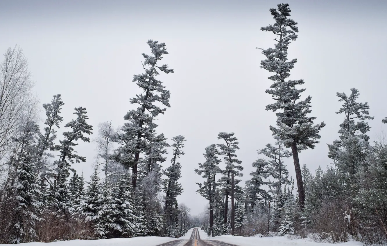Photo wallpaper winter, frost, road, forest, the sky, snow, trees, silhouette