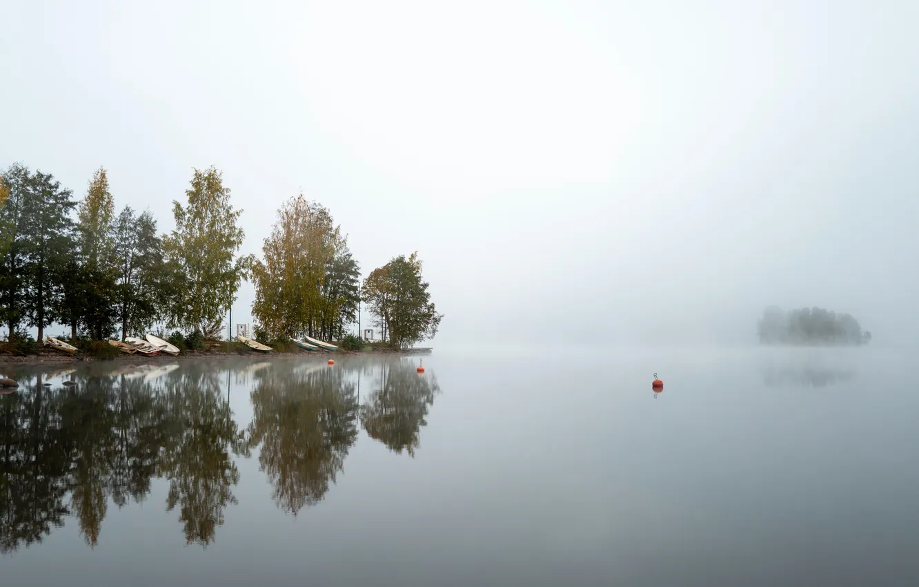 Photo wallpaper water, trees, fog, reflection, river, shore, Finland
