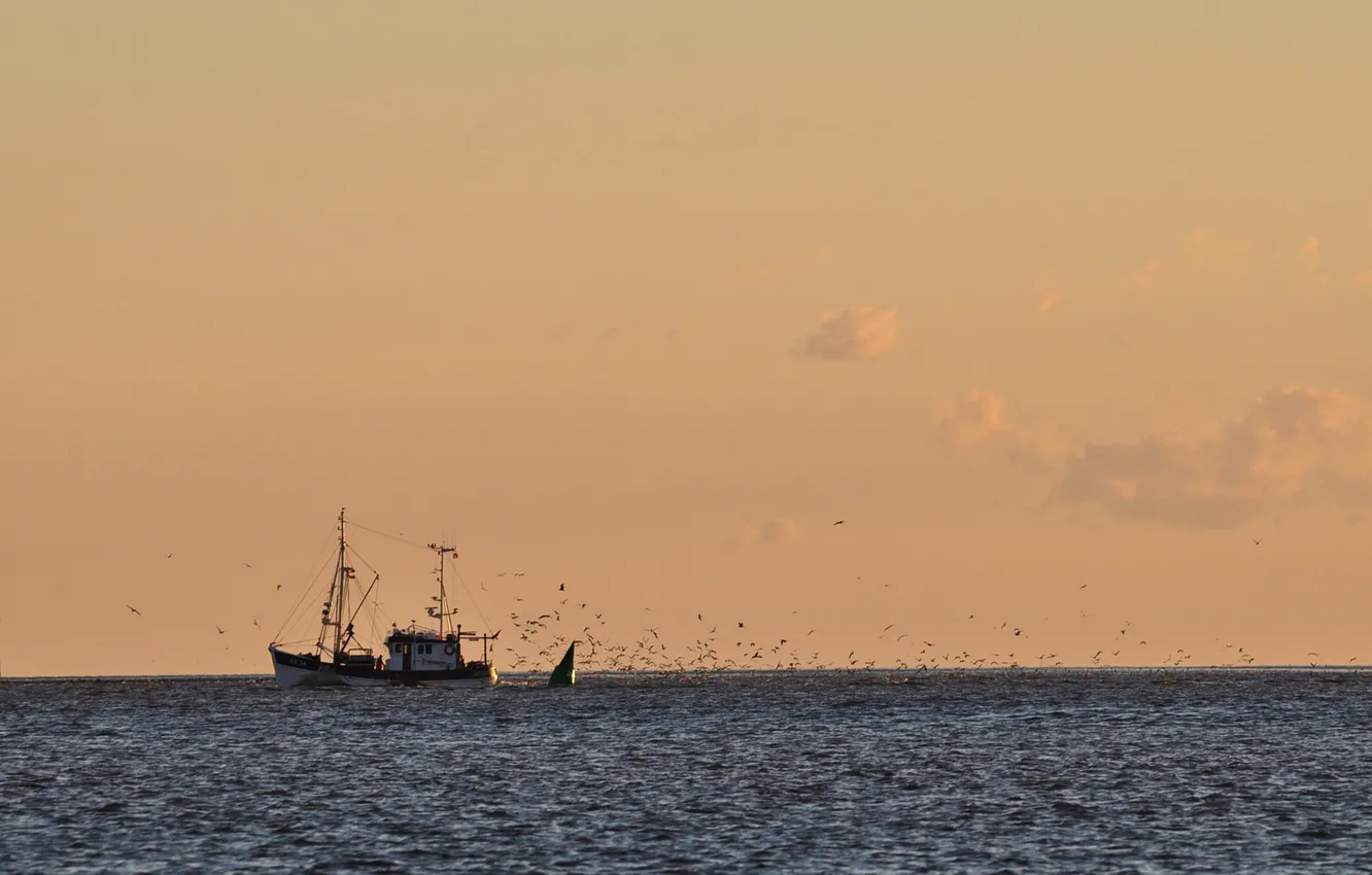 Photo wallpaper twilight, sea, ocean, sunset, seascape, dusk, horizon, fisherman