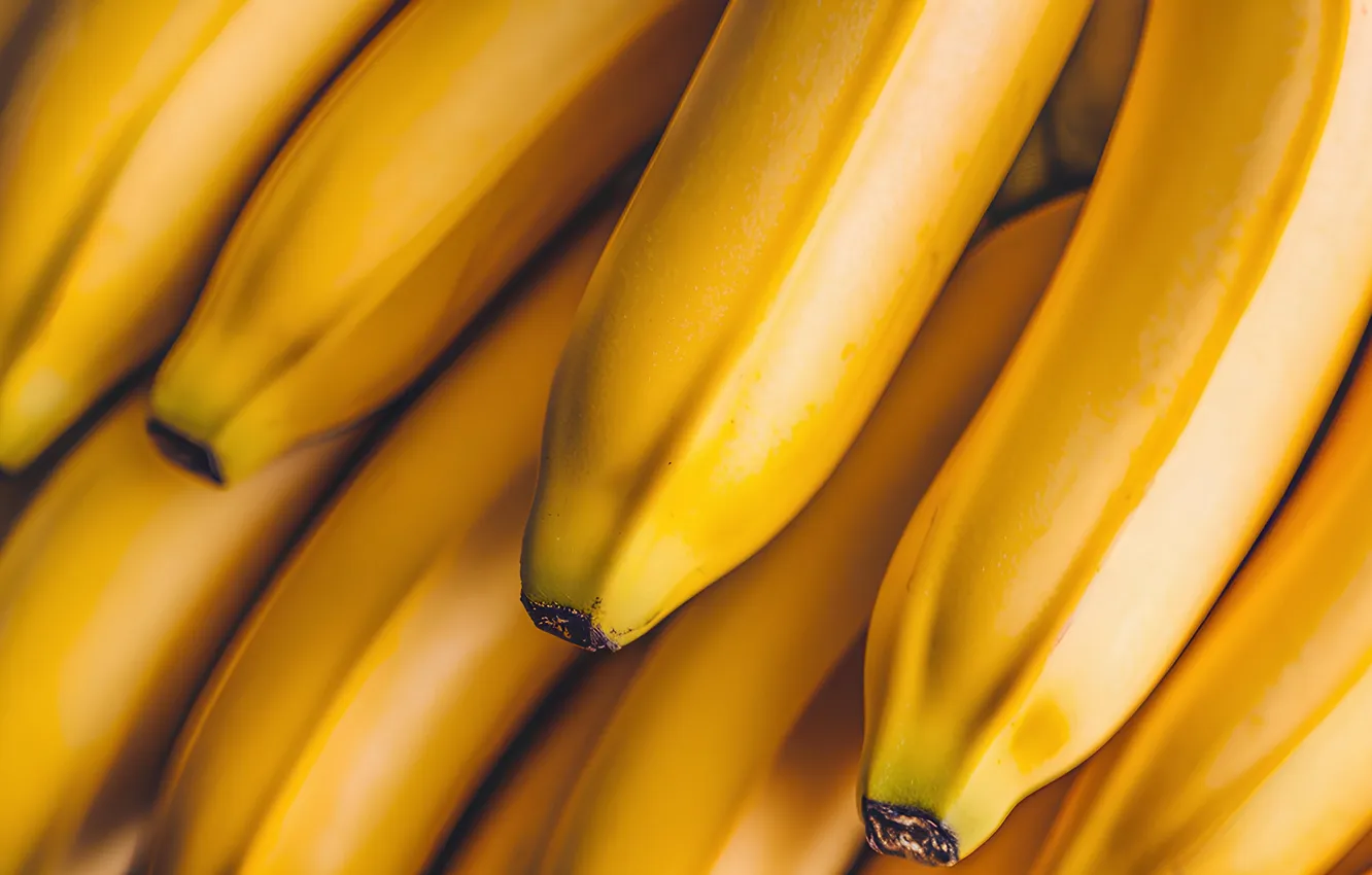 Photo wallpaper bananas, a lot, AI art, neural network