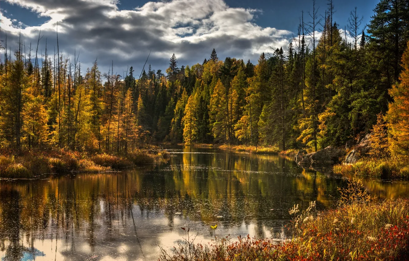 Photo wallpaper autumn, forest, trees, nature, lake