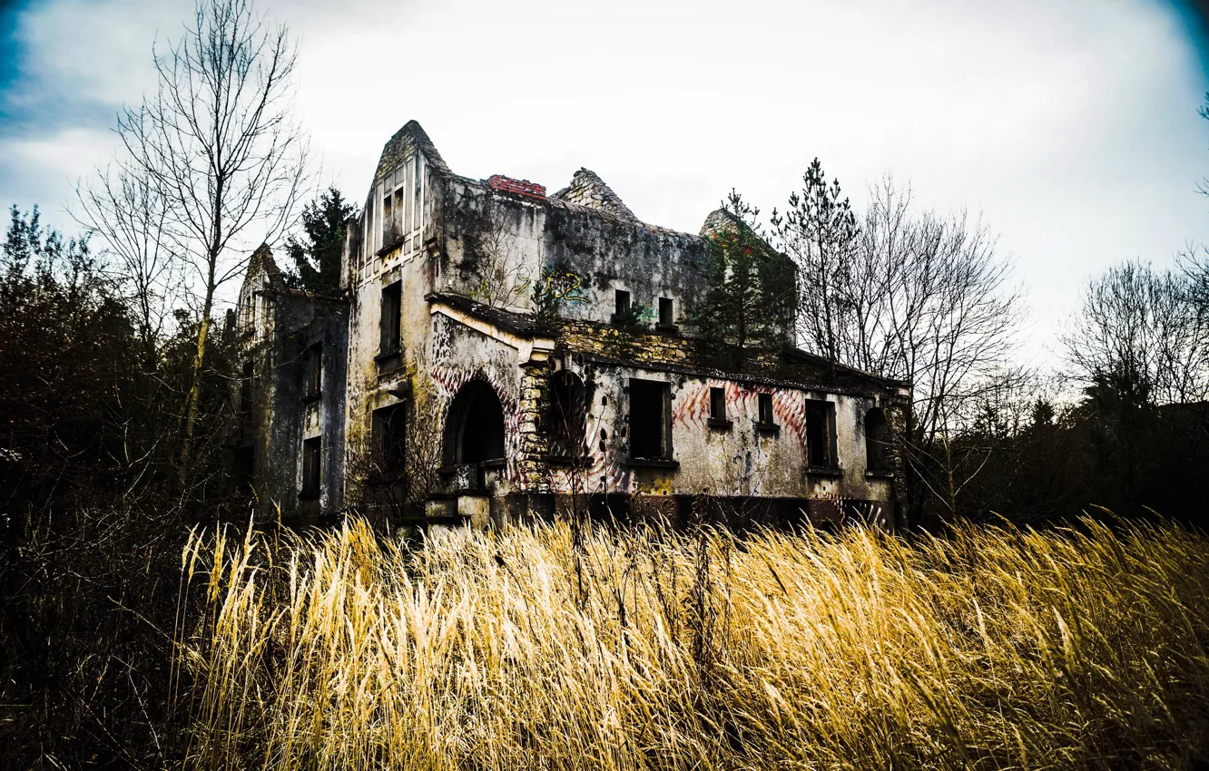 Photo wallpaper field, house, ruins