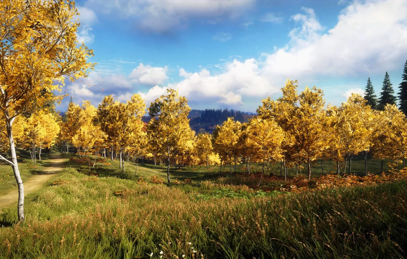 Photo wallpaper The sky, Clouds, The game, Autumn, Trees, Forest, Art, theHunter™: Call of the Wild