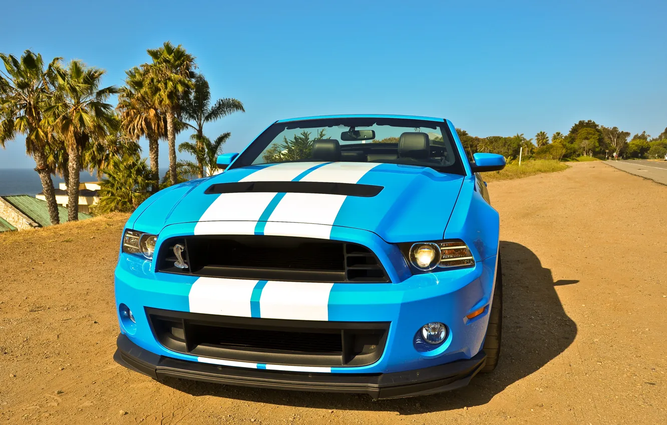 Photo wallpaper Shelby, Convertible, 2014, Gt500
