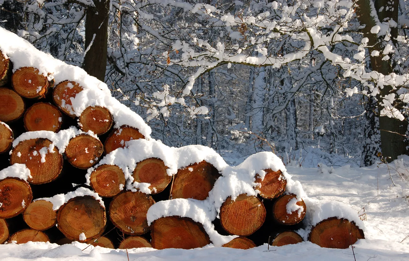 Photo wallpaper winter, snow, nature, wood, stack