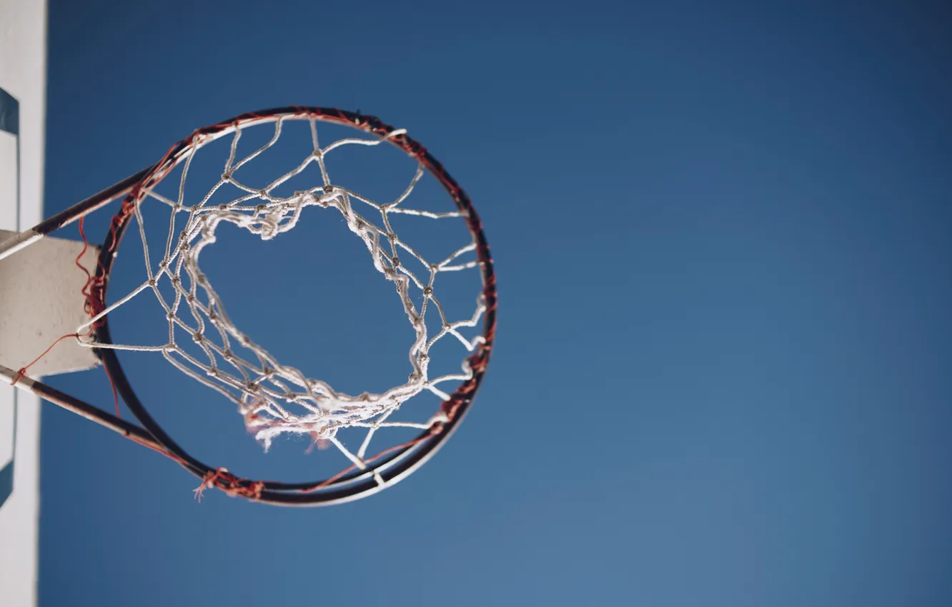 Photo wallpaper sport, ring, shield