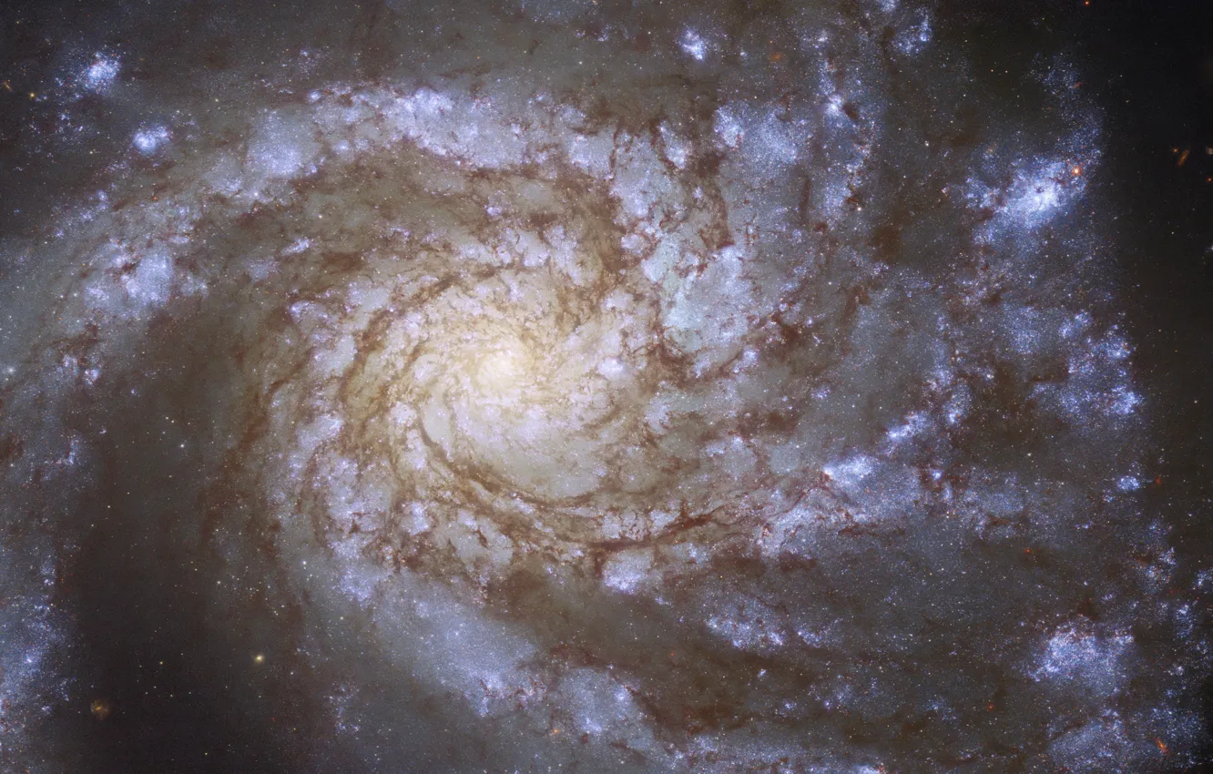 Photo wallpaper NASA, Hubble, Galaxy, ESA, M99, European Space Agency