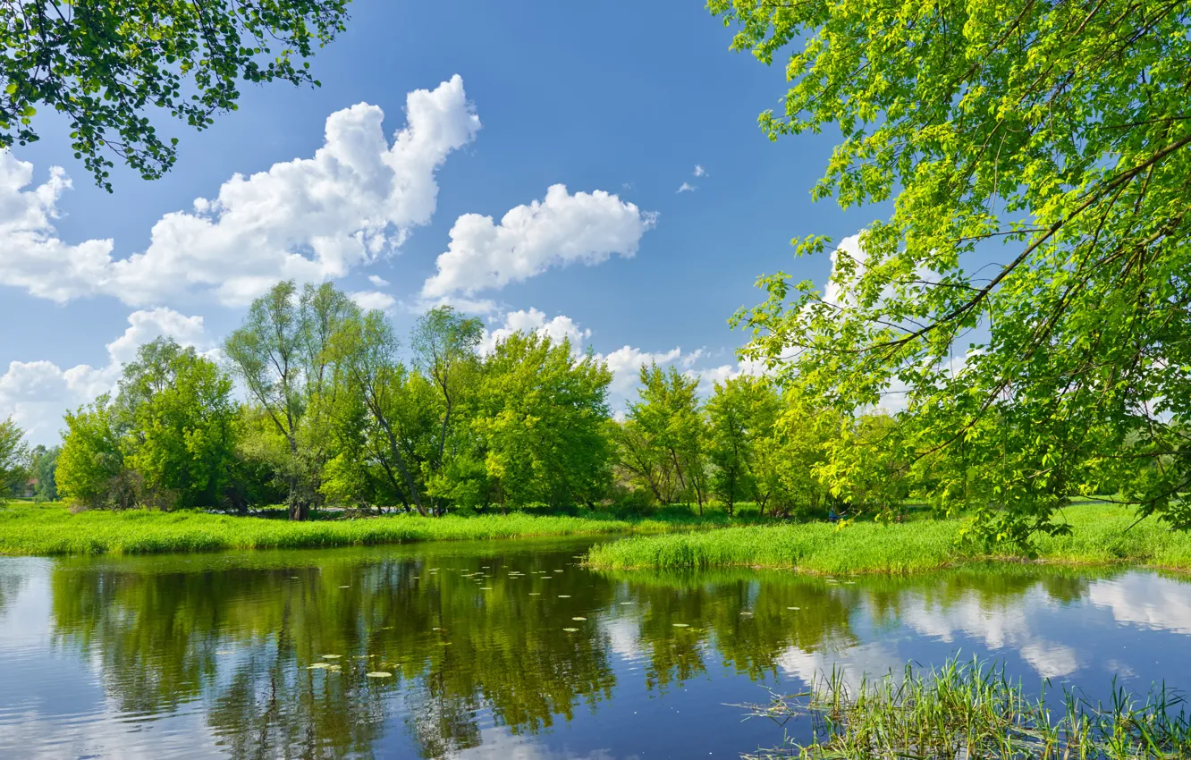 Photo wallpaper the sky, grass, clouds, trees, landscape, nature, green