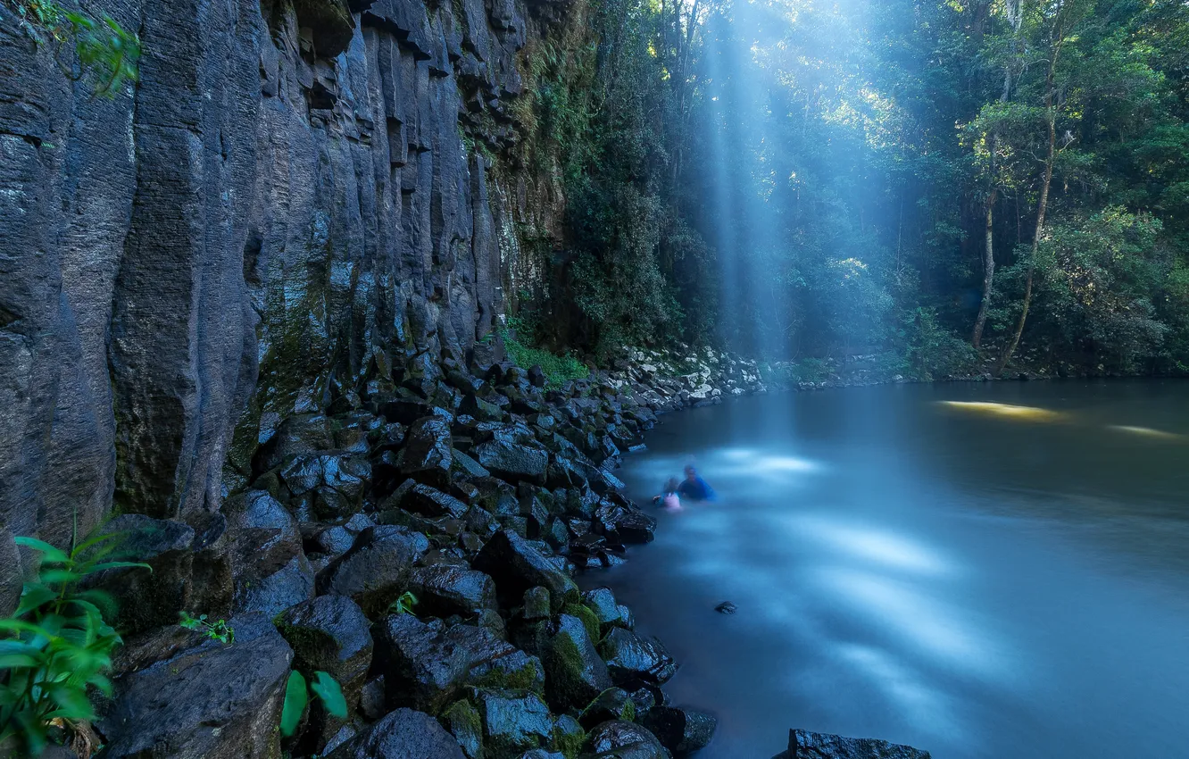 Photo wallpaper forest, trees, landscape, nature, lake, rocks, plant, waterfall