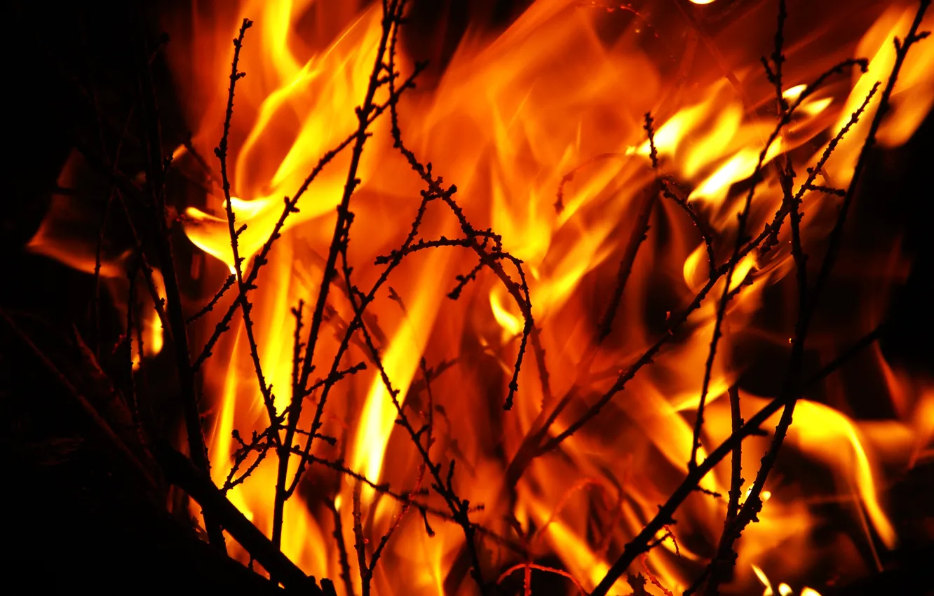 Photo wallpaper night, fire, flame, the fire