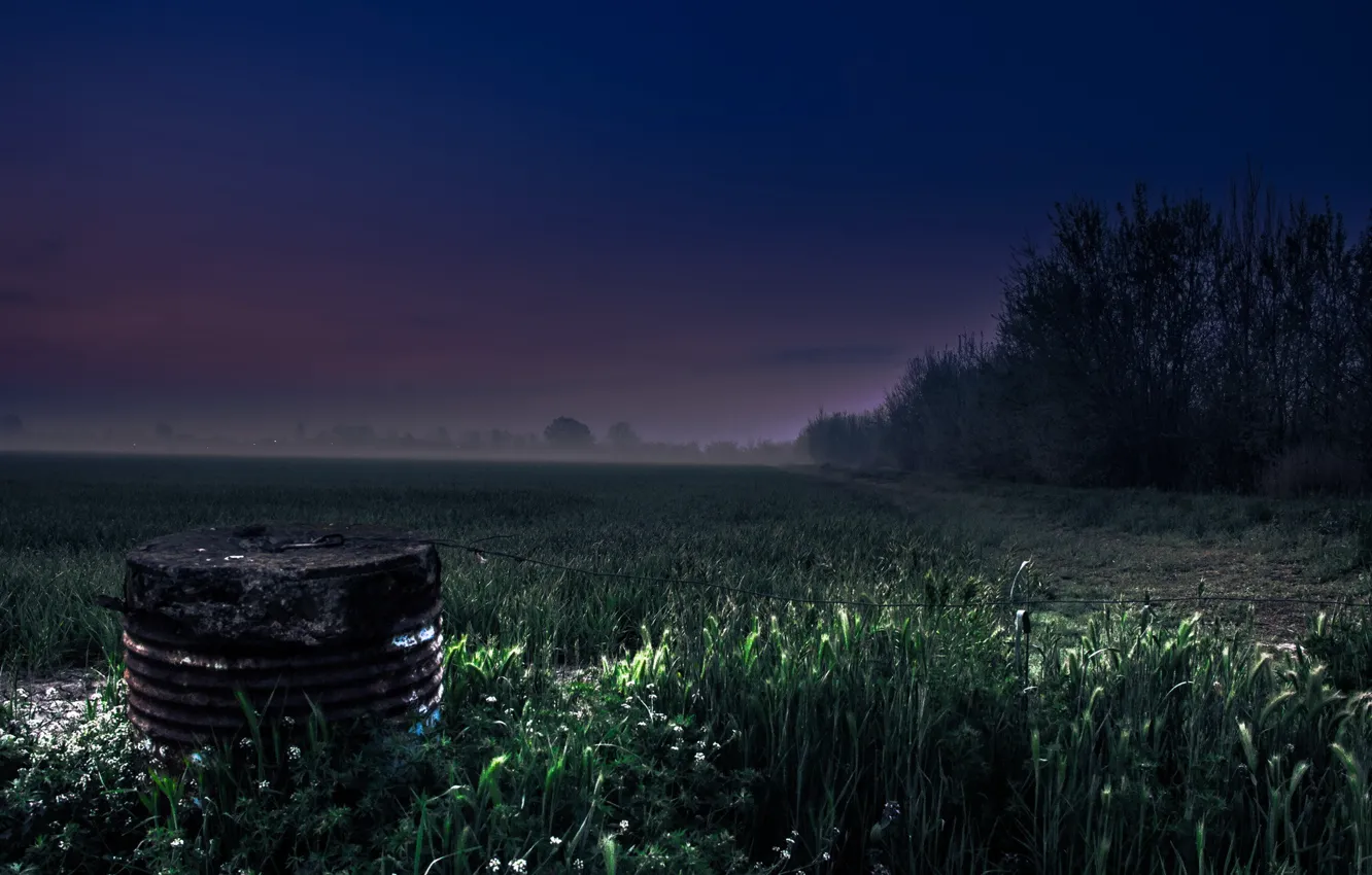 Photo wallpaper field, landscape, night, fog