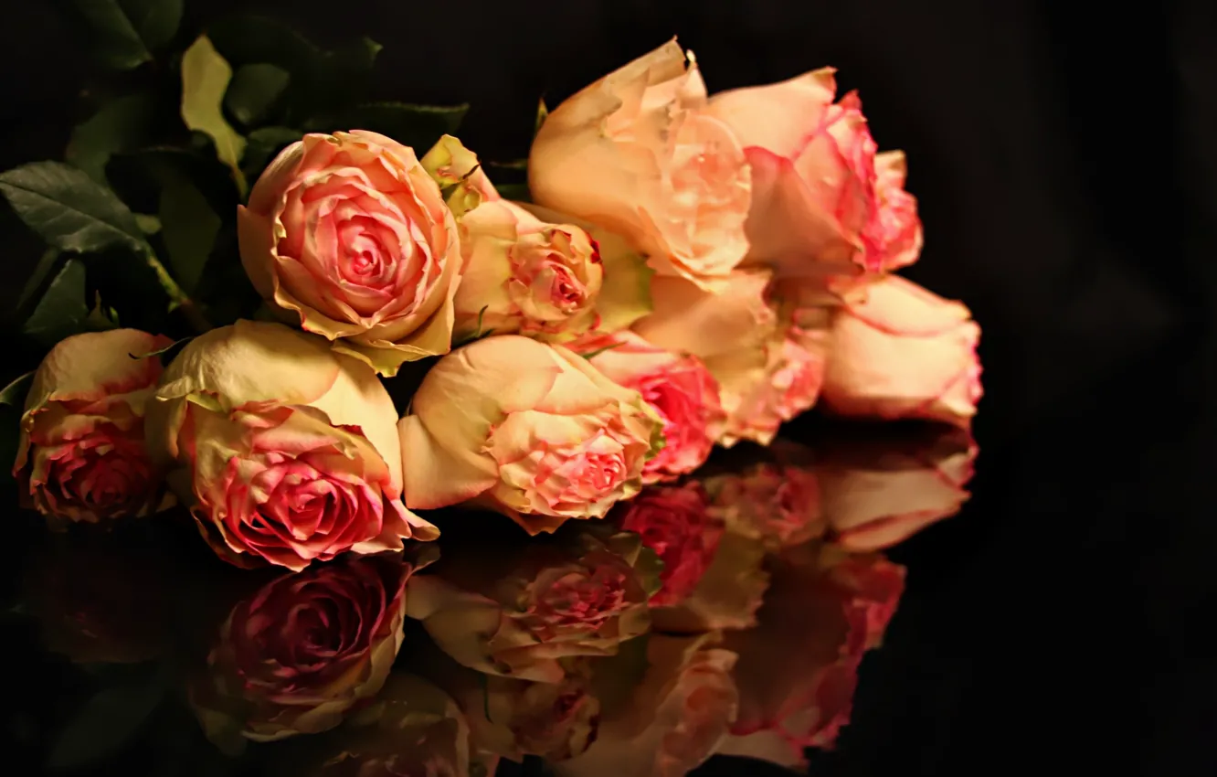 Photo wallpaper flowers, the dark background, pink, Roses, buds
