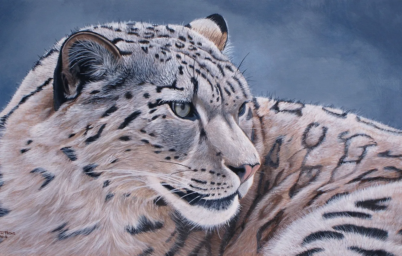 Photo wallpaper IRBIS, snow leopard, snow leopard