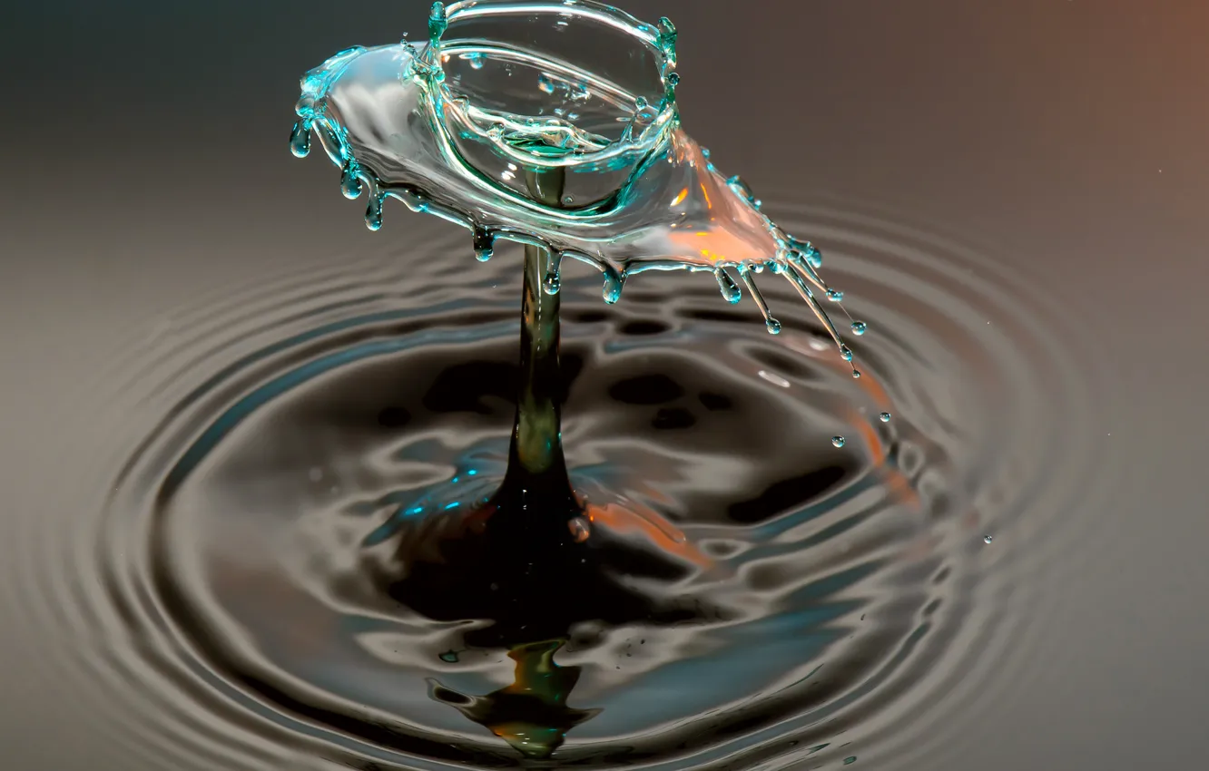 Photo wallpaper water, circles, squirt, drop, splash, liquid