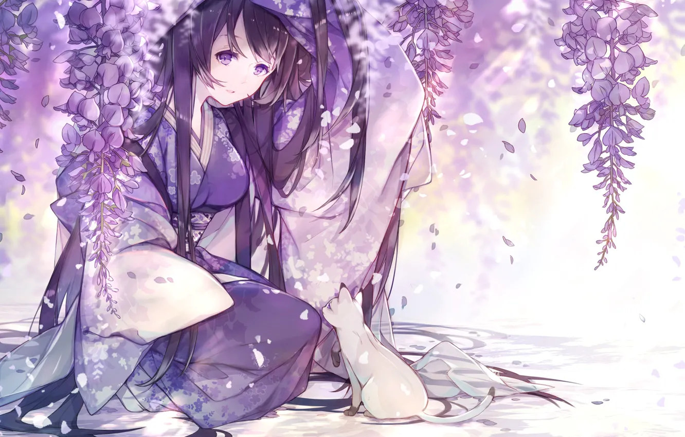 Photo wallpaper girl, petals, kimono, sitting, flowering, art, Wisteria, white kitten