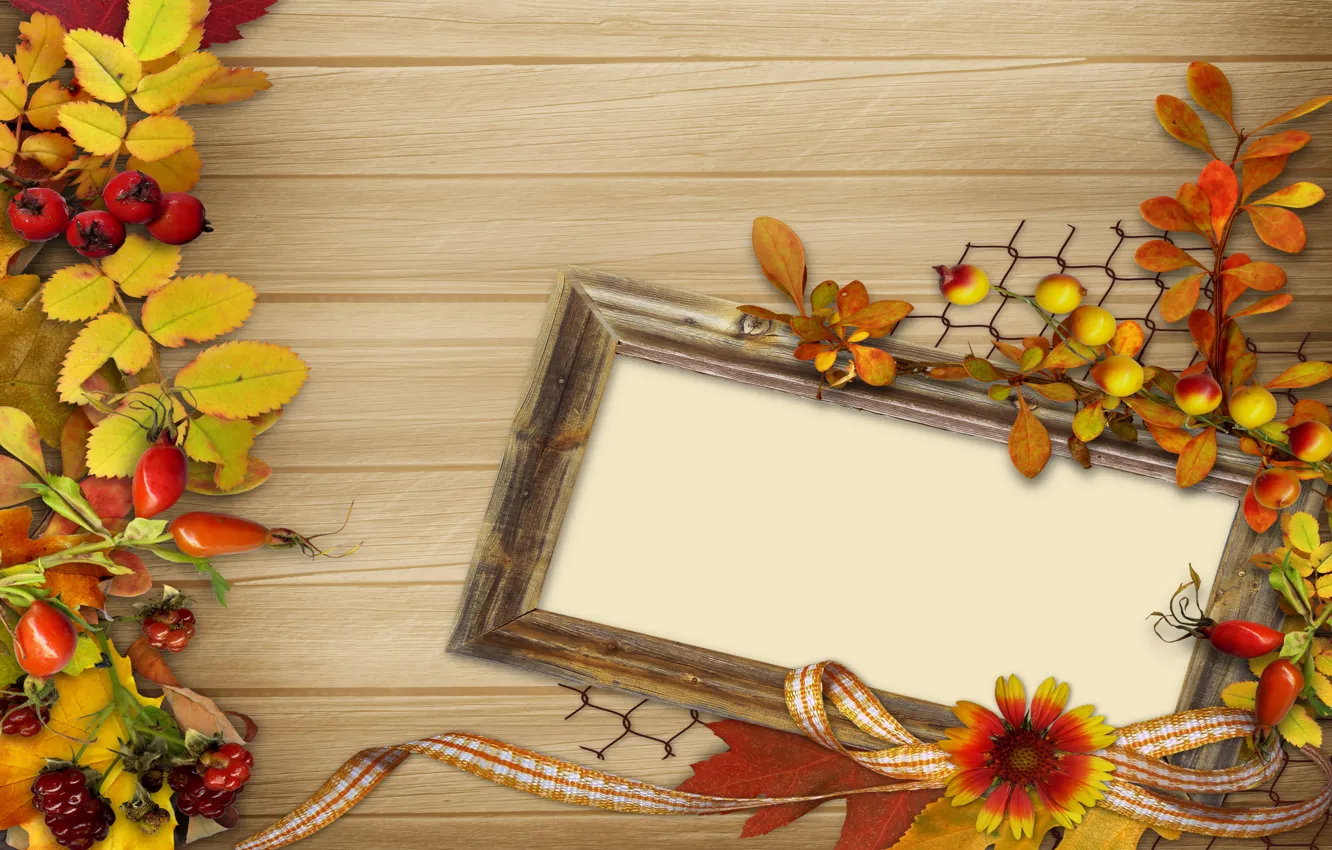 Photo wallpaper autumn, leaves, flowers, berries, frame, vintage, background, autumn