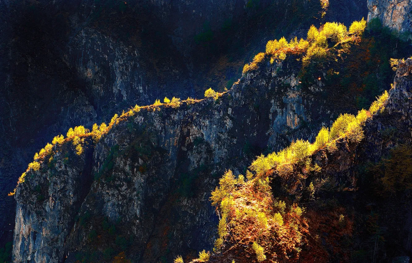 Photo wallpaper trees, mountains, rocks, Italy, Lombardy