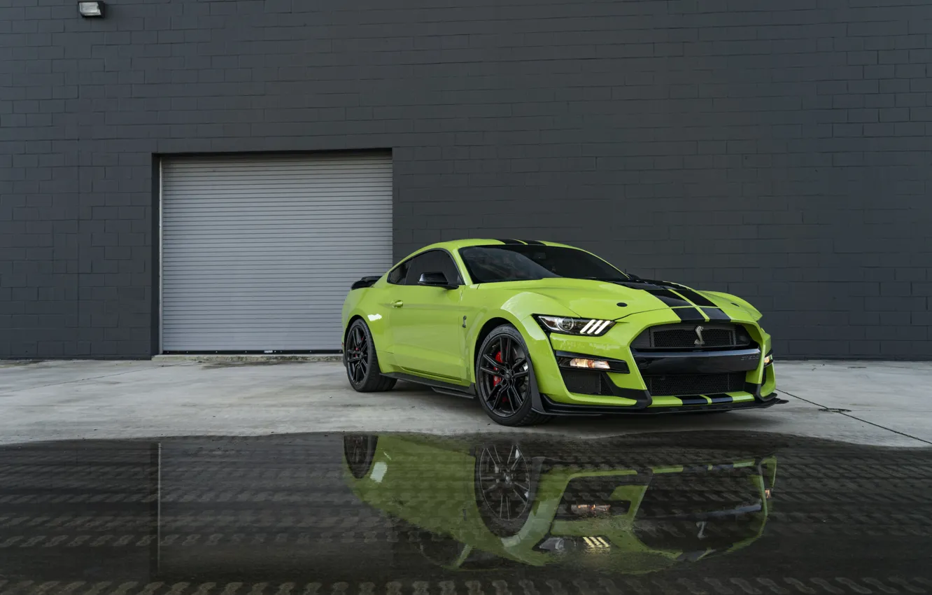 Photo wallpaper Mustang, Ford, GT500, Wall, Green, Water, Reflection, Sight
