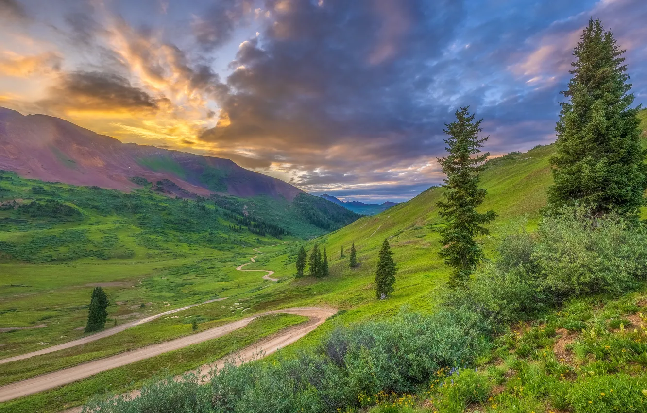 Photo wallpaper road, forest, summer, the sky, clouds, mountains, clouds, dal