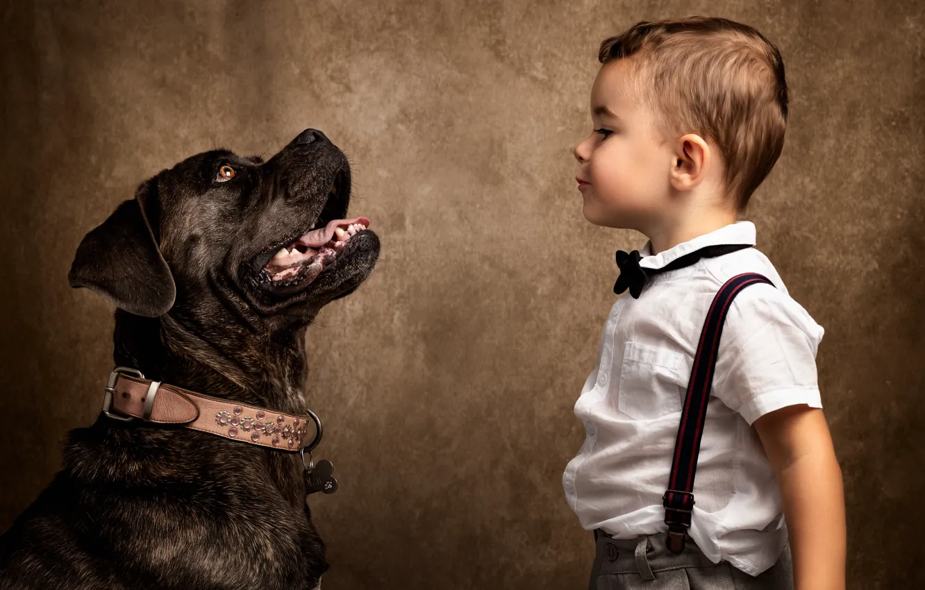 Photo wallpaper face, background, dog, boy, collar, braces